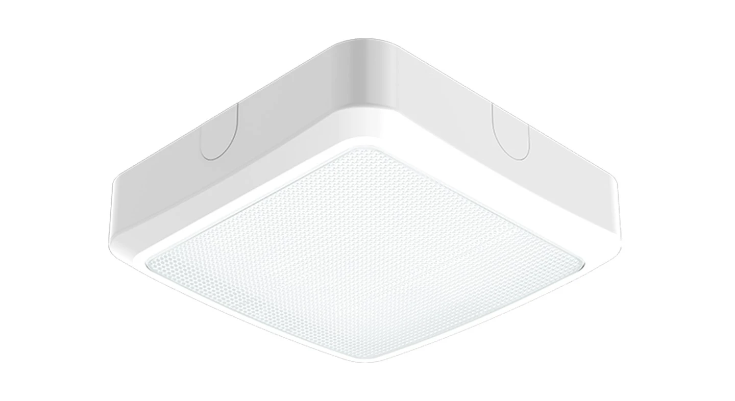 Pro S260 Square Bulkhead Light